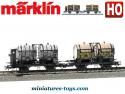 Le coffret de deux wagons bi foudres en miniatures par Marklin au HO