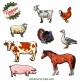 Les 41 animaux de la ferme et figurines en miniatures plastique au 1/36e