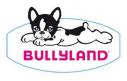 Natacha Hotesse de l'Air en figurine plastique par Bully MD Toys
