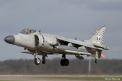 Le chasseur anglais Harrier GR1 en avion miniature au 1/120e