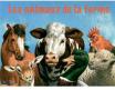 Un lot de 4 animaux de la Ferme en miniatures de la marque BG